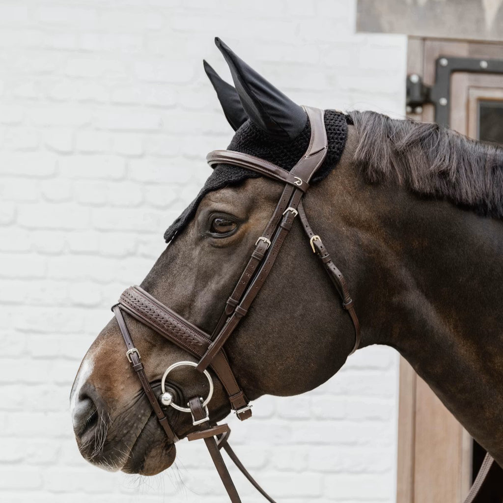 Kentucky Fliegenhaube Wellington Wave