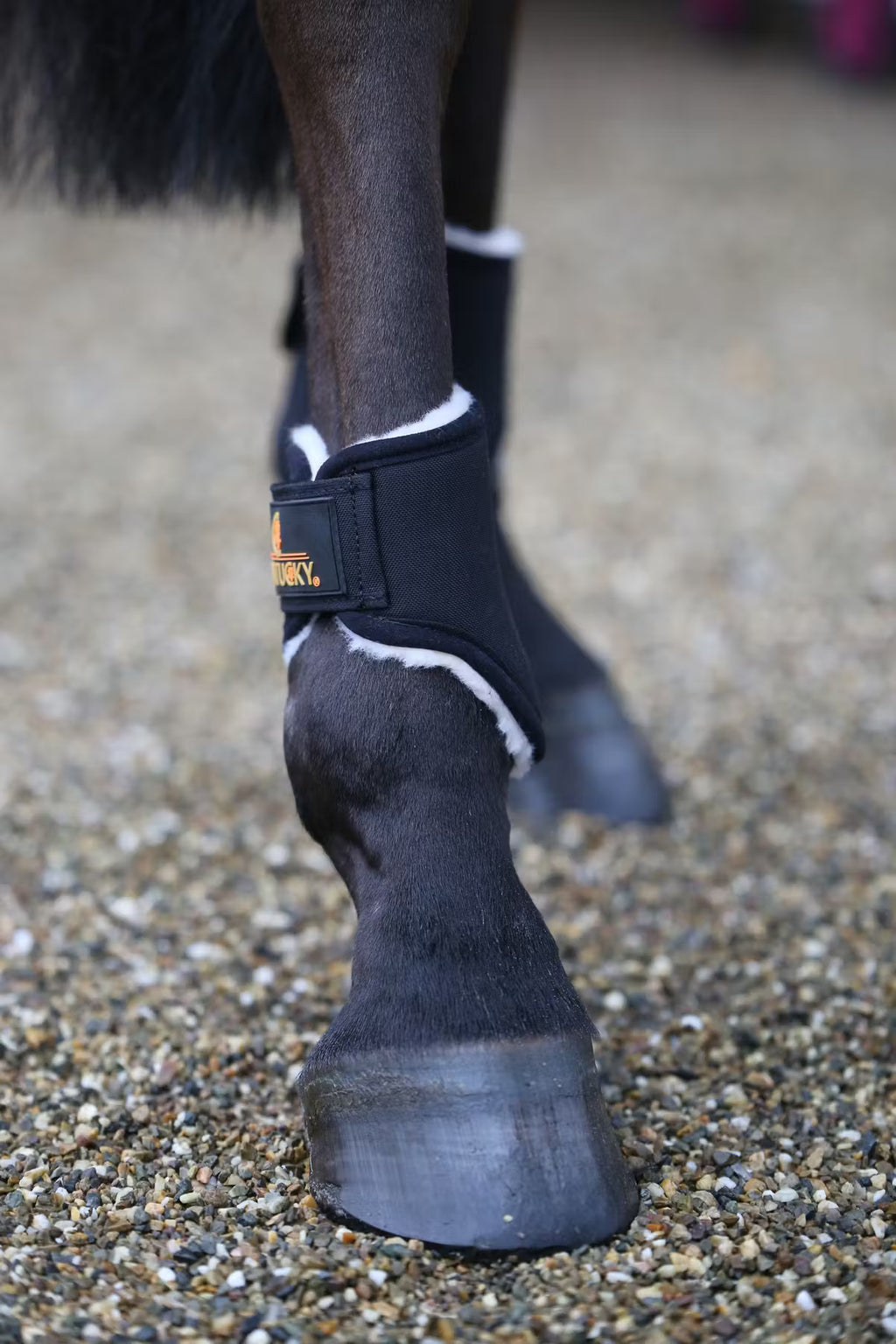 Kentucky Kurzer Auslaufstiefel Solimbra/Lammfell