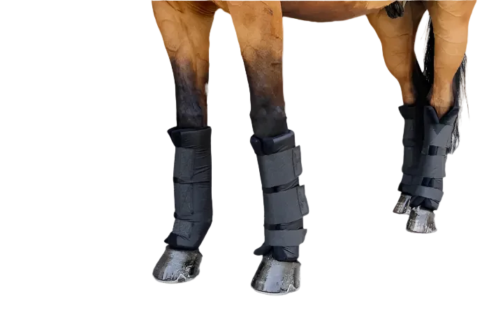 Kentucky Stalbeschermers Protect Classic - Voor