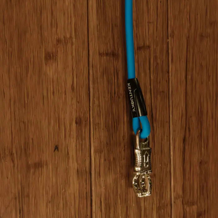 Ligne de scellement du Kentucky - Silicone
