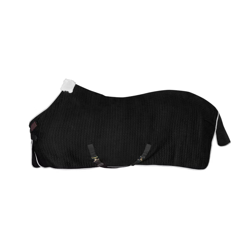 Kentucky Rug Protherm