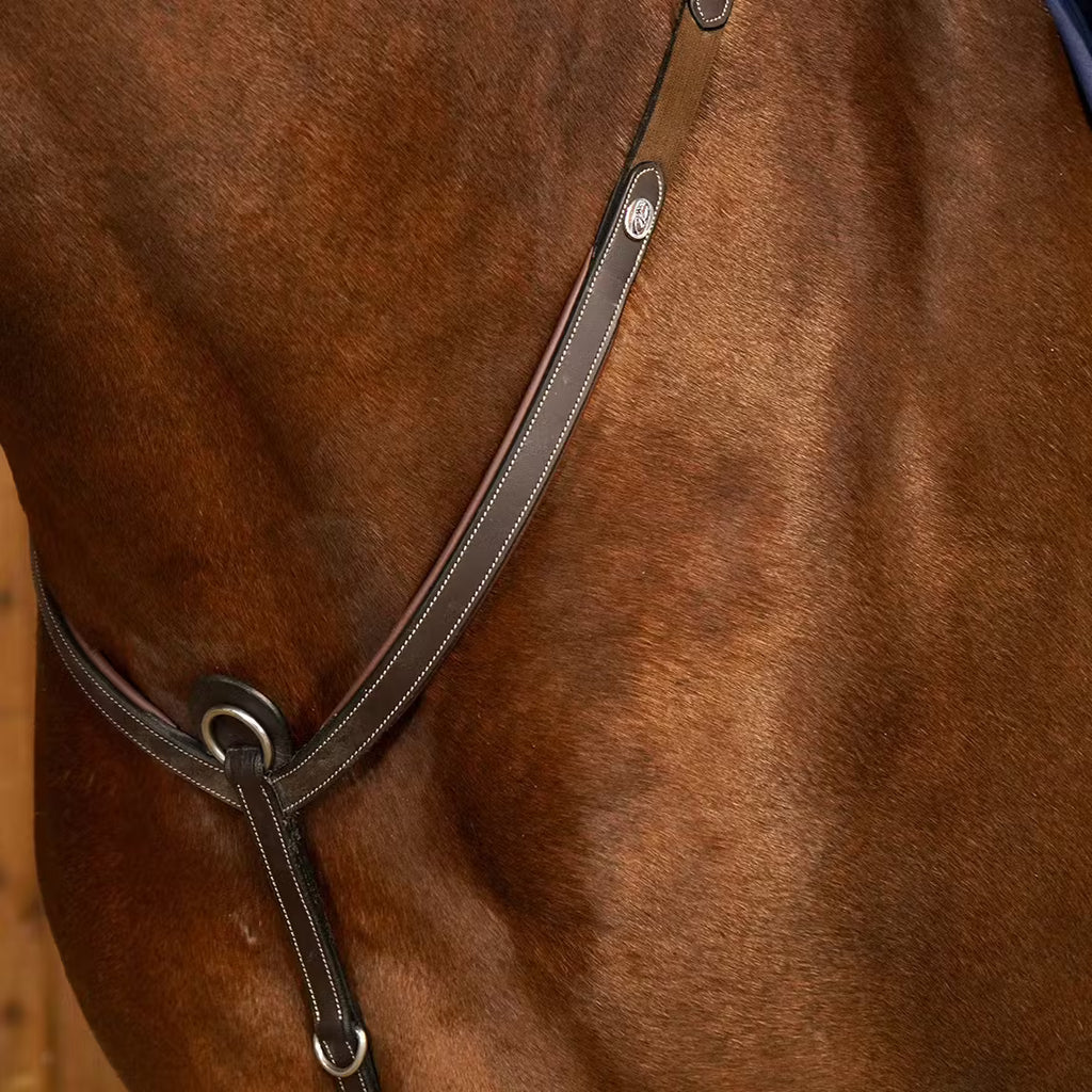 Dy'on Bridge Breastplate - Working Collection