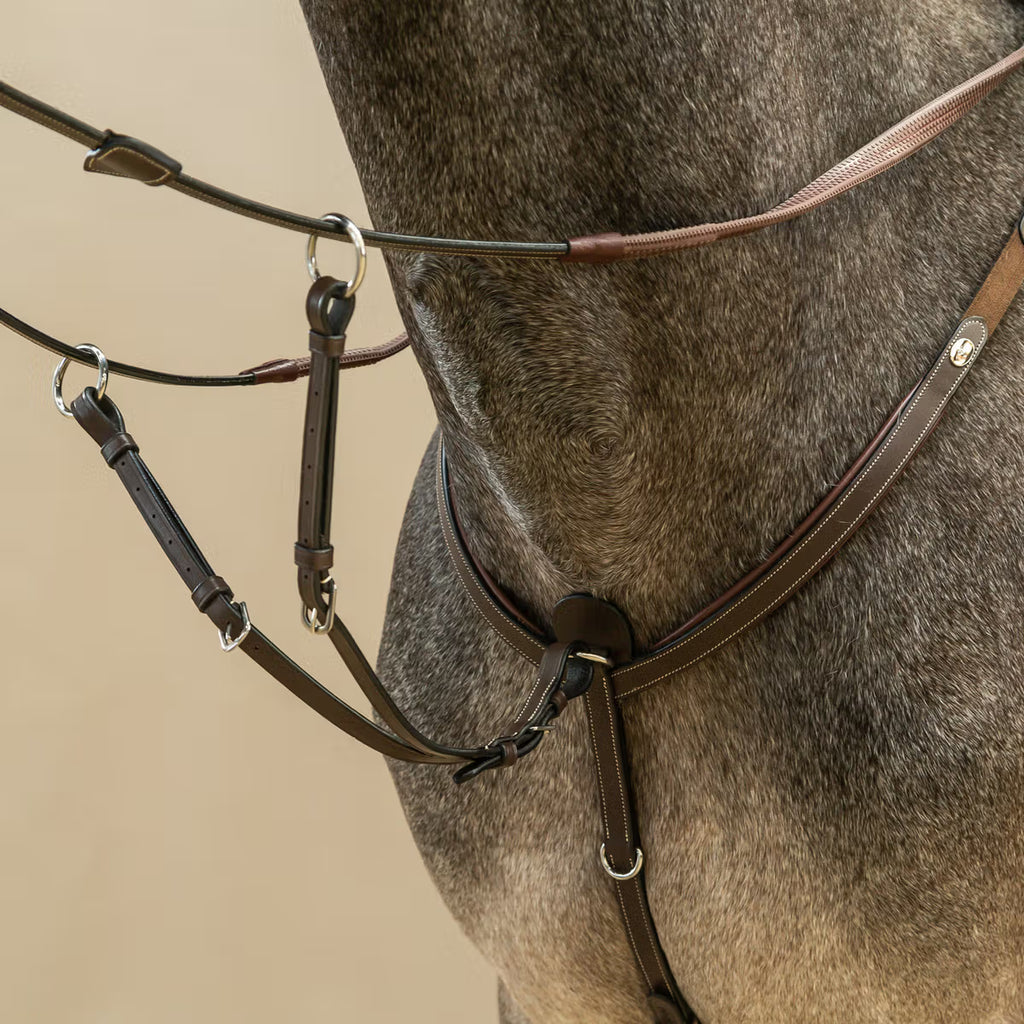 Dy'on Running Martingale Attachment - Working Collection