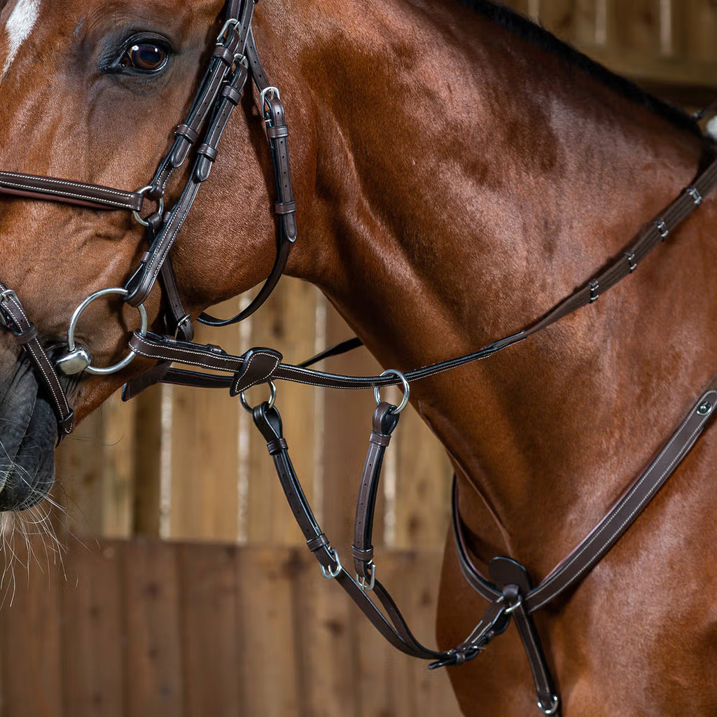 Dy'on Running Martingale Attachment - Working Collection
