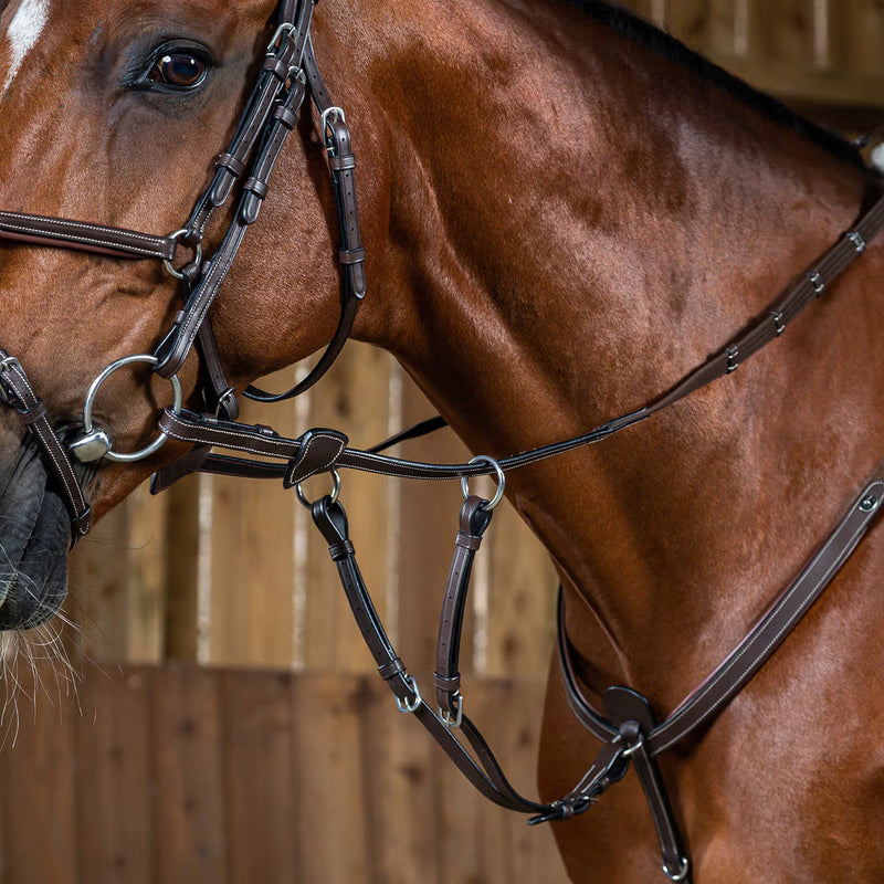 Dy'on Running Martingale Attachment - Working Collection