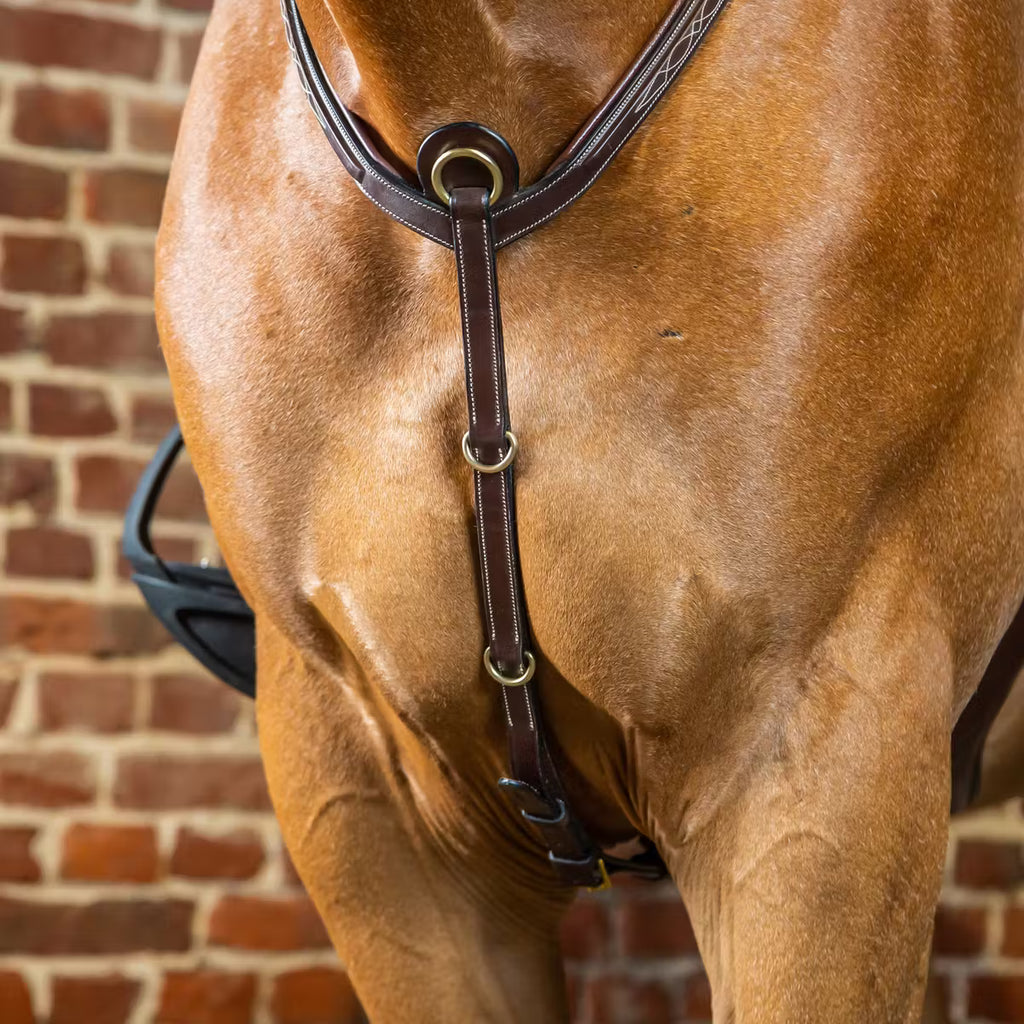 Dy'on Bridge Breastplate