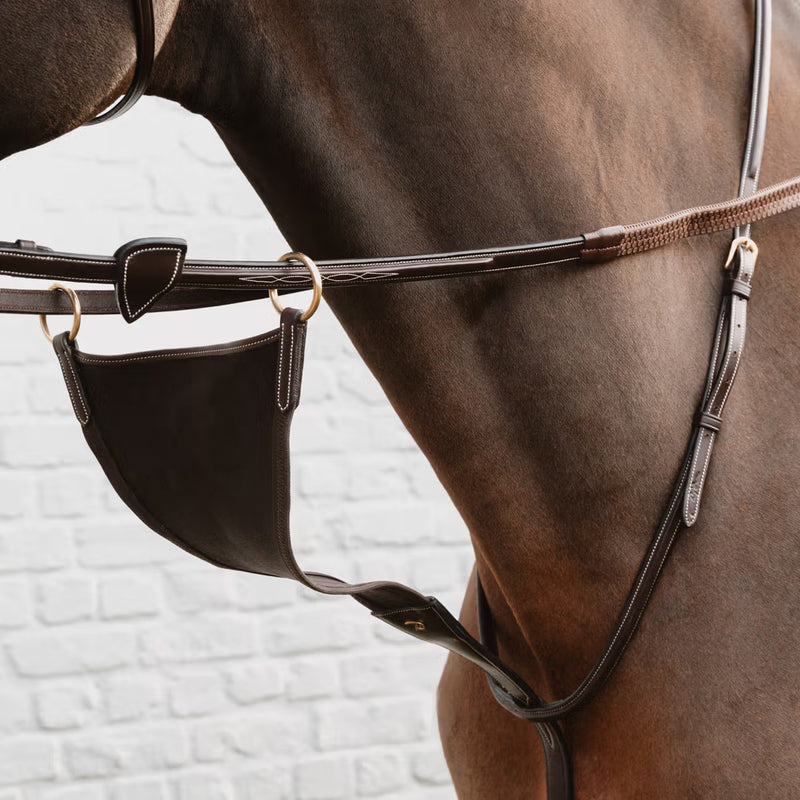 Dy'on Bib Martingaal - Elastisch