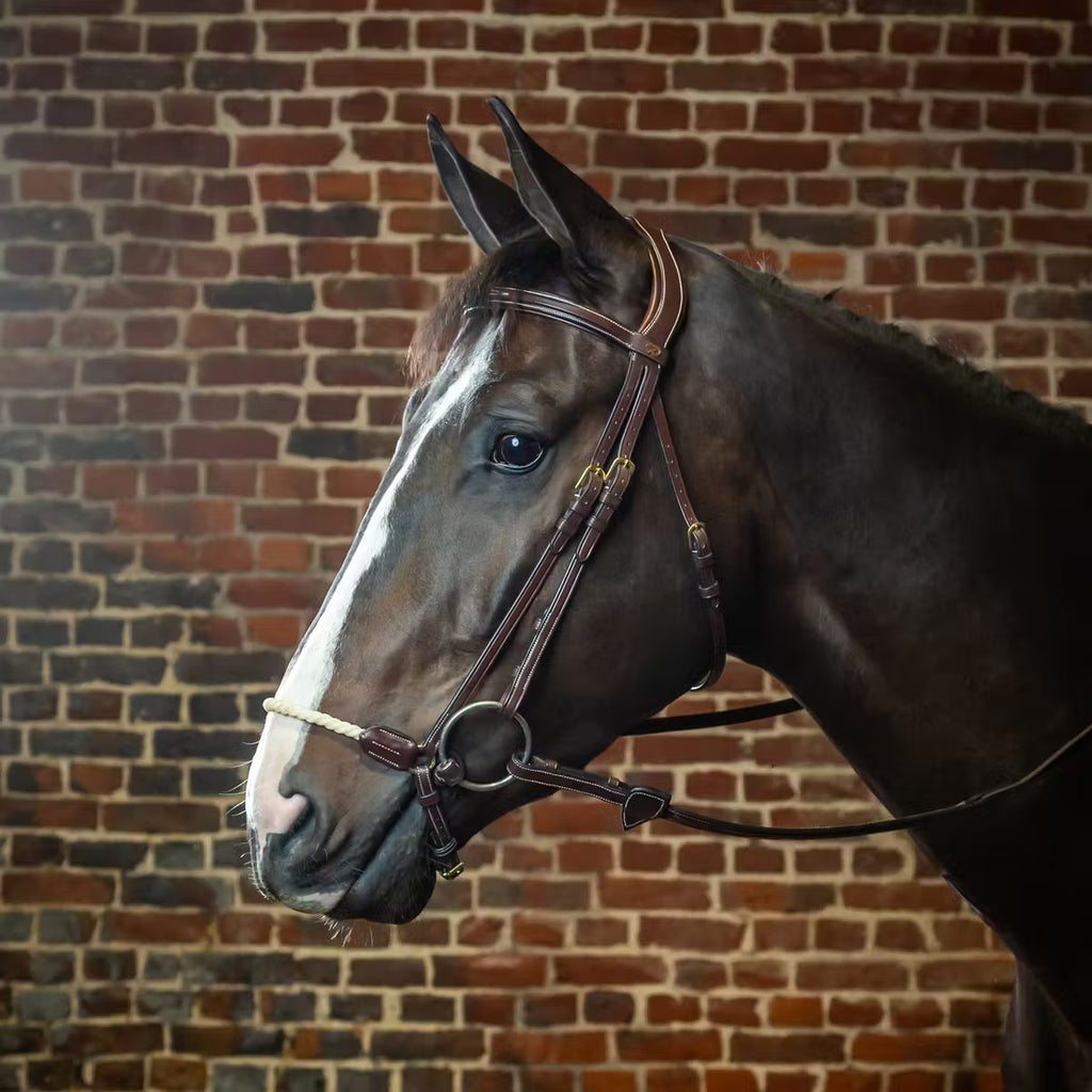 Dy'on Zäum Rope Drop Noseband - D Kollektion