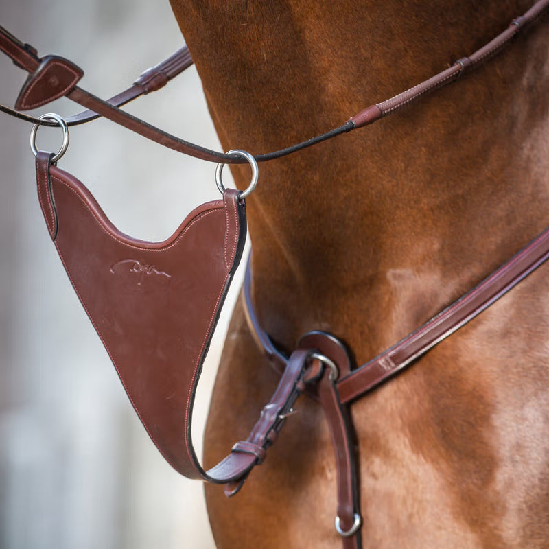 Dy'on Bib Martingal Befestigung