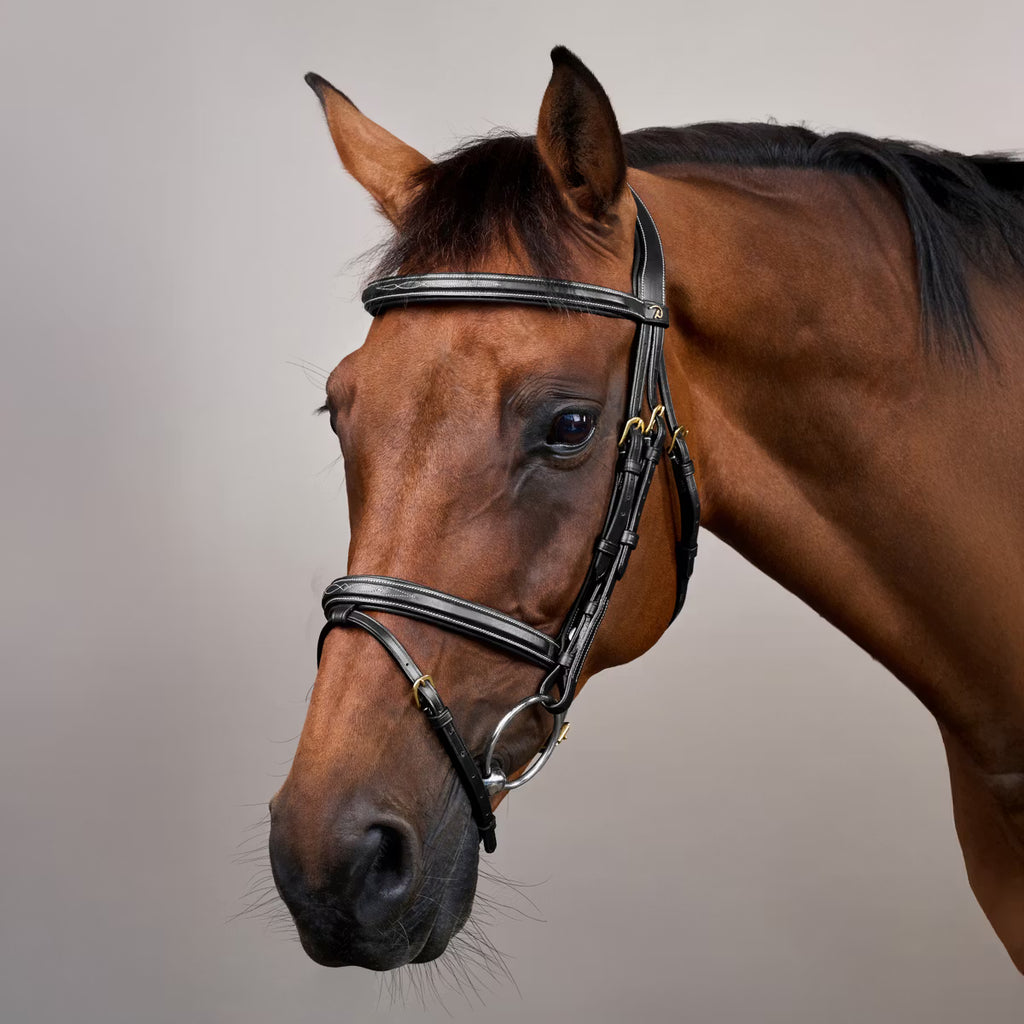Dy'on Bridle Flash Noseband - D Collection