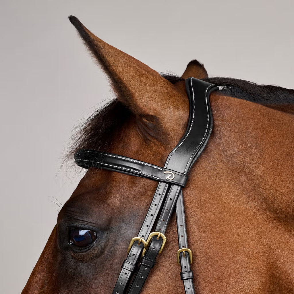 Dy'on Bridle Flash Noseband - D Collection