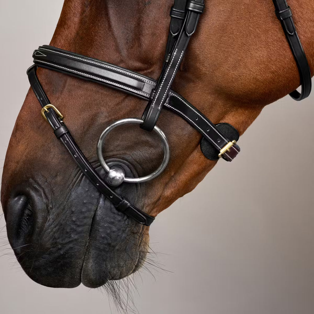 Dy'on Bridle Flash Noseband - D Collection