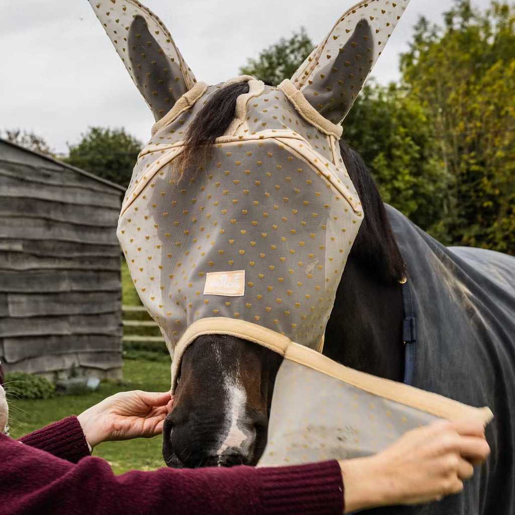 Kentucky Fliegenmaske Hart - Nase & Ohren