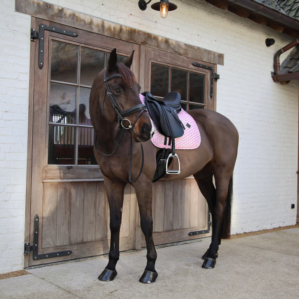 Kentucky Satteldecke Sammy Kollektion - Dr