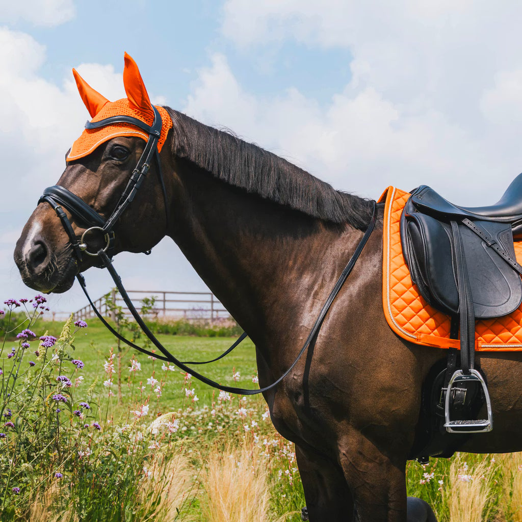 Kentucky Oornetje Wellington Diamond Rope