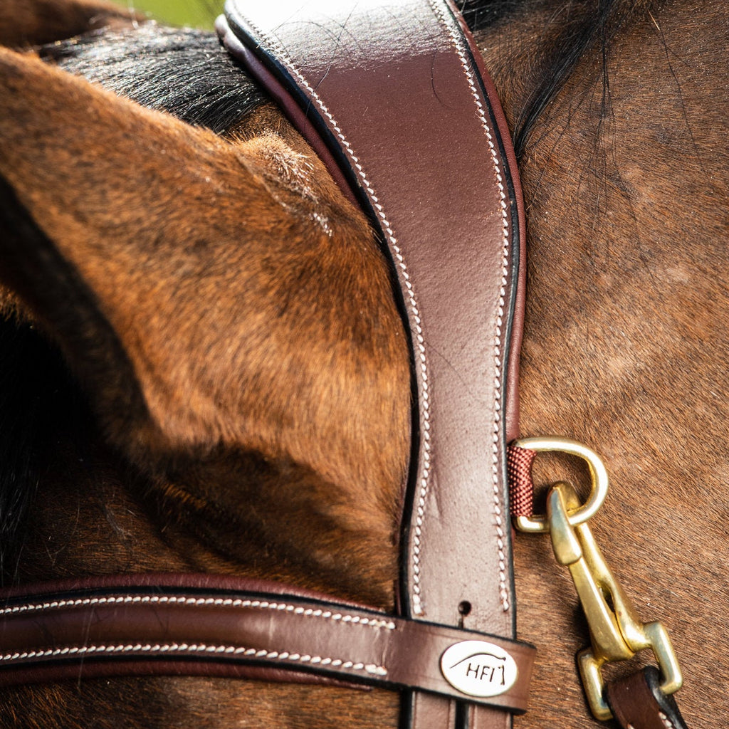 HFI Bridle Techno