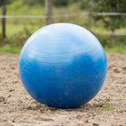 QHP Pferdefußball
