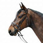 Waldhausen Trenshoofdstel Star Diamond