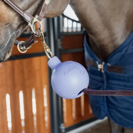 Kentucky Gummiball Schutzwand & Anbindestrick