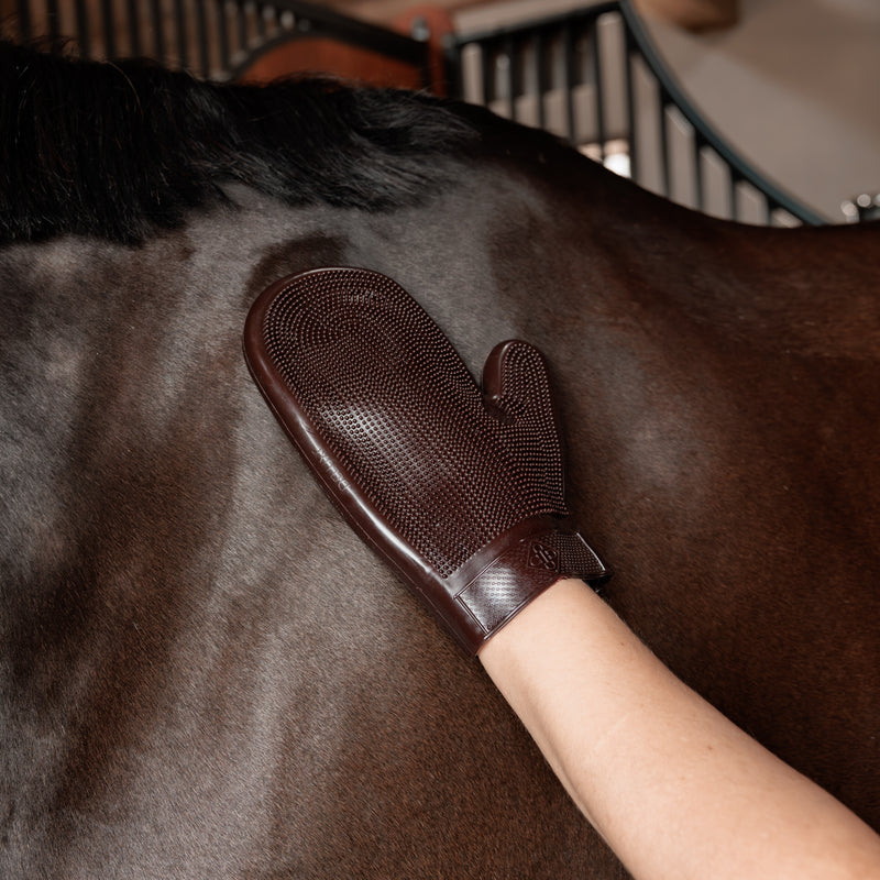 Grooming Deluxe Rubber Poetshandschoen