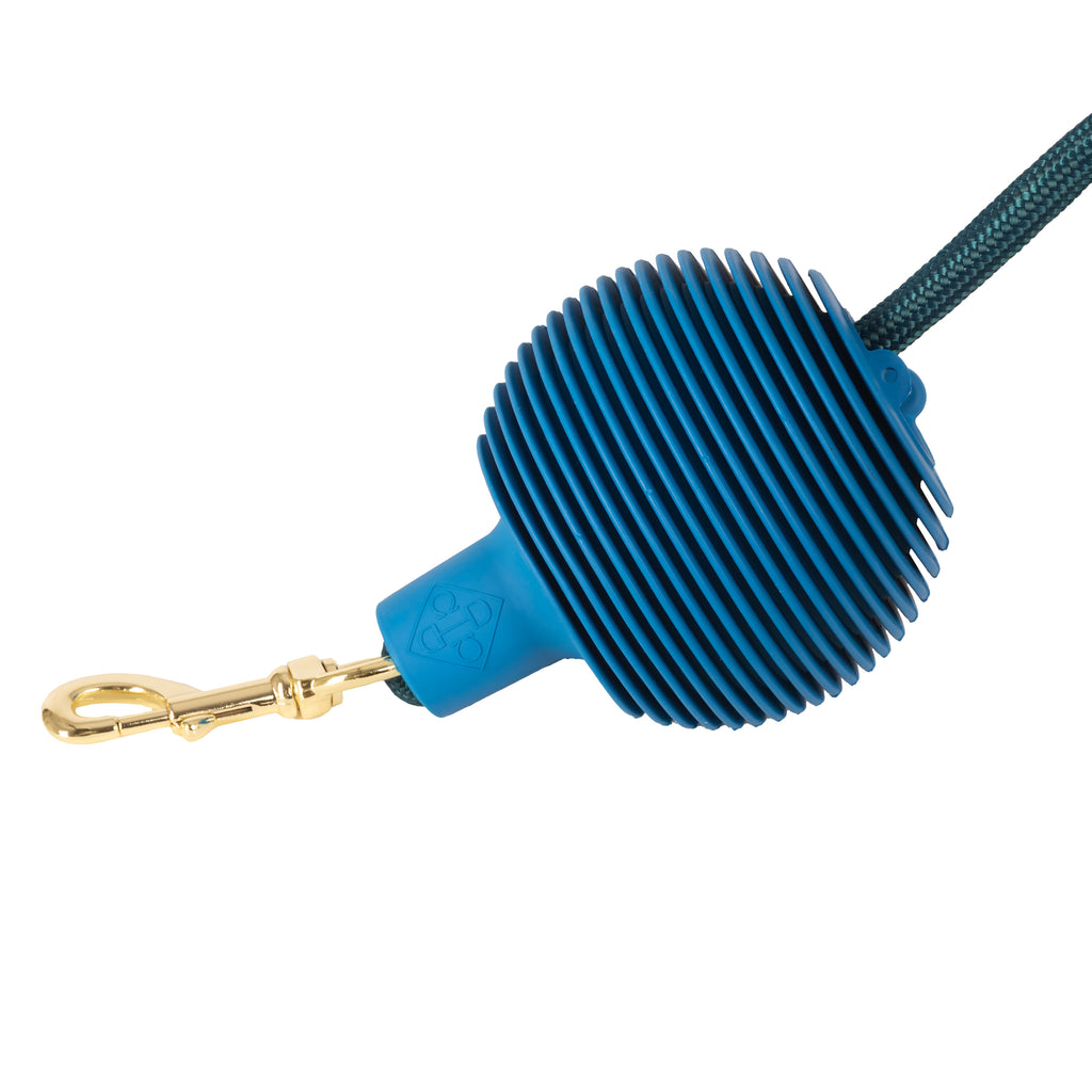 Kentucky Lead & Wall Protection Pro