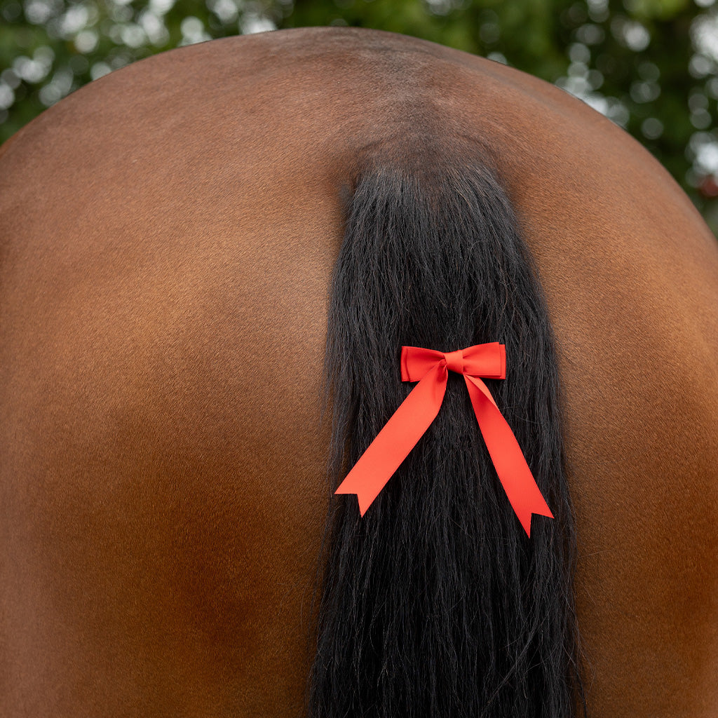 QHP Waarschuwingsstrik - Rood