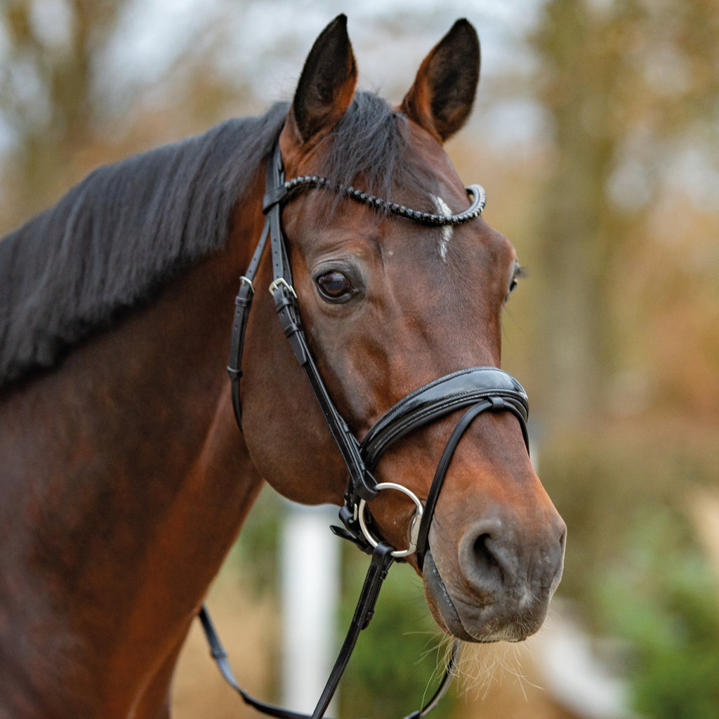 Passier Bridle Noblesse