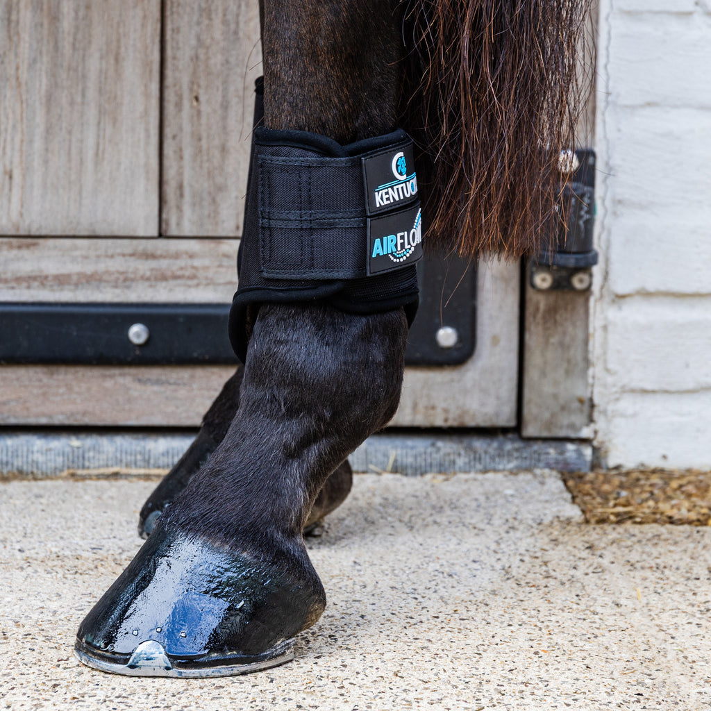 Kentucky Eventing Boots 3D Air Flow Short - Hind