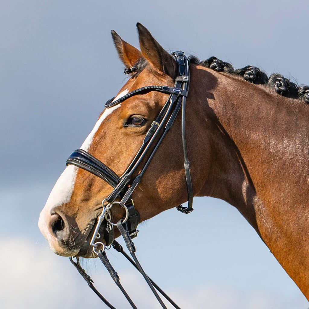Passier Double Bridle Highscore