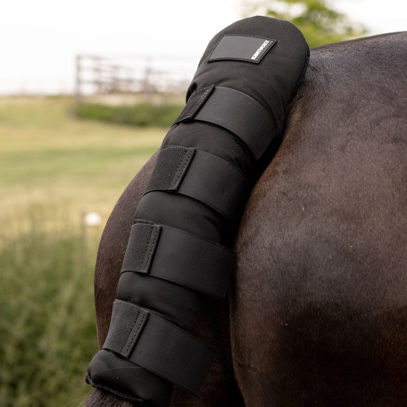 Kentucky Tailguard Pro