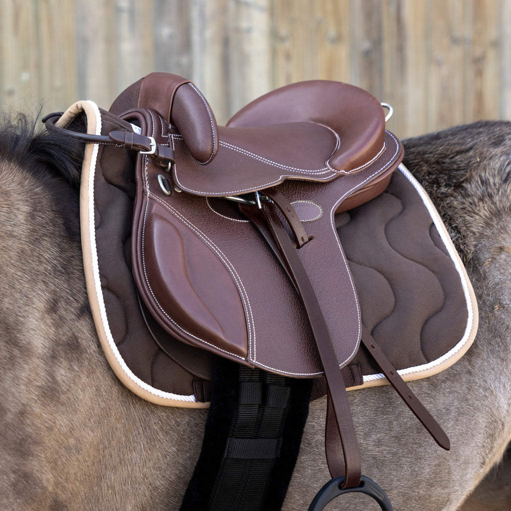Guy Cantin Educative Saddle