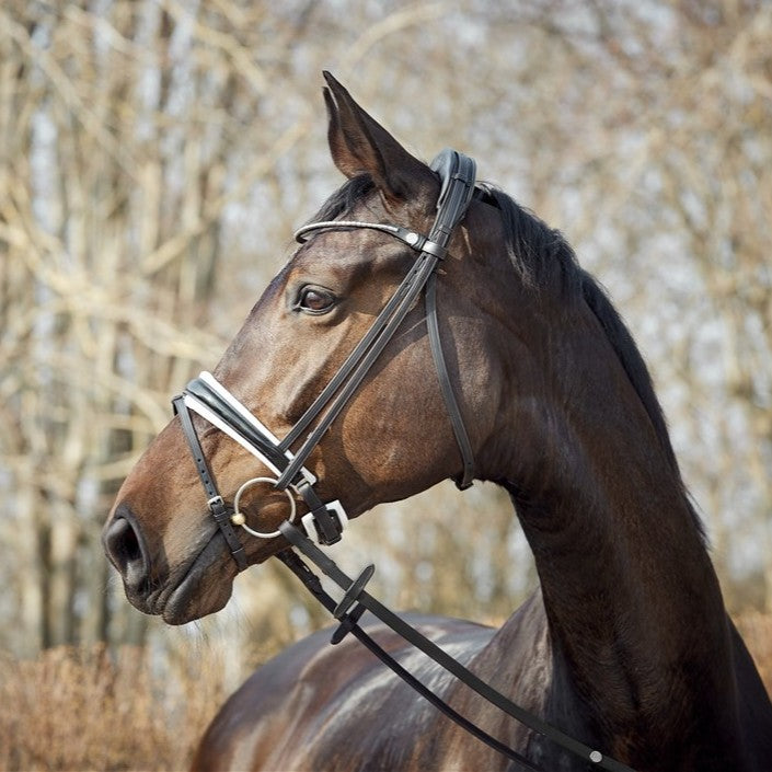 Finesse Bridle Cayenne - Silver Buckles