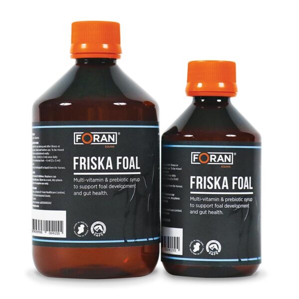 Foran Friska Fohlen