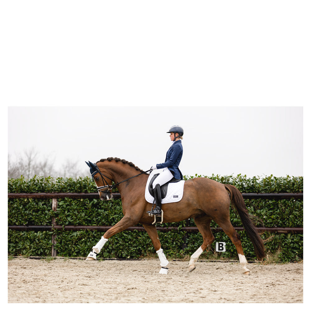 Anky Tapis de Selle Compétition Charm Xb22004 - Dr