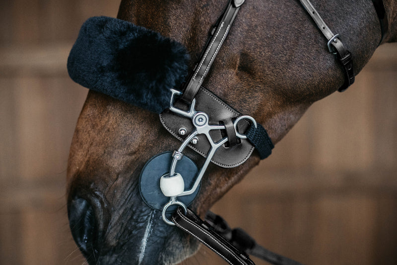 Protection pour Hackamore Dy'on