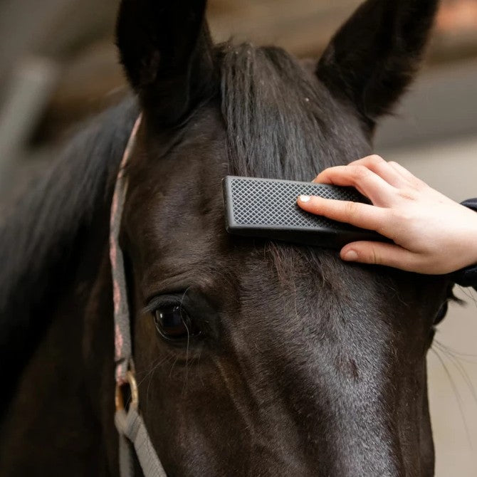 Exellent Horse Grooming Borstel Multifunctioneel