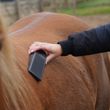 Exellent Horse Grooming Borstel Multifunctioneel