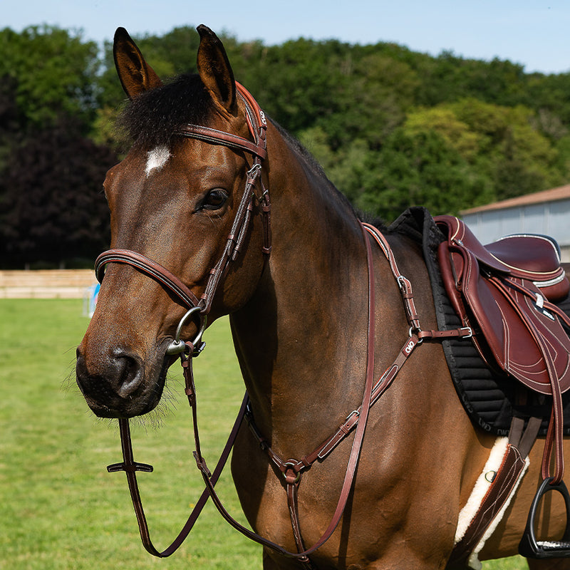 CWD Anatomic Bridle Fancy Stitching - Sport Color