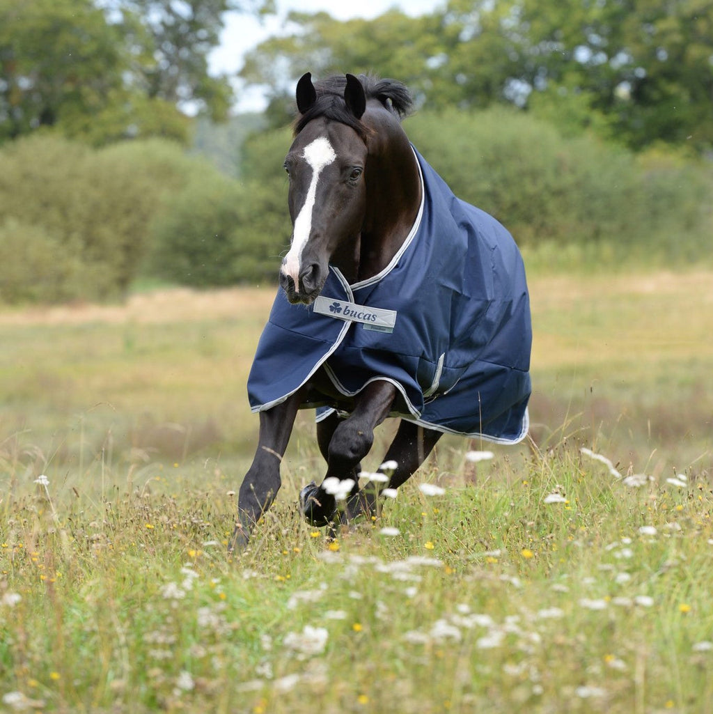 Bucas Freedom Turnout Light - 0 Gram