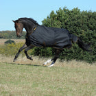 Bucas Irish Turnout - 50 Gram