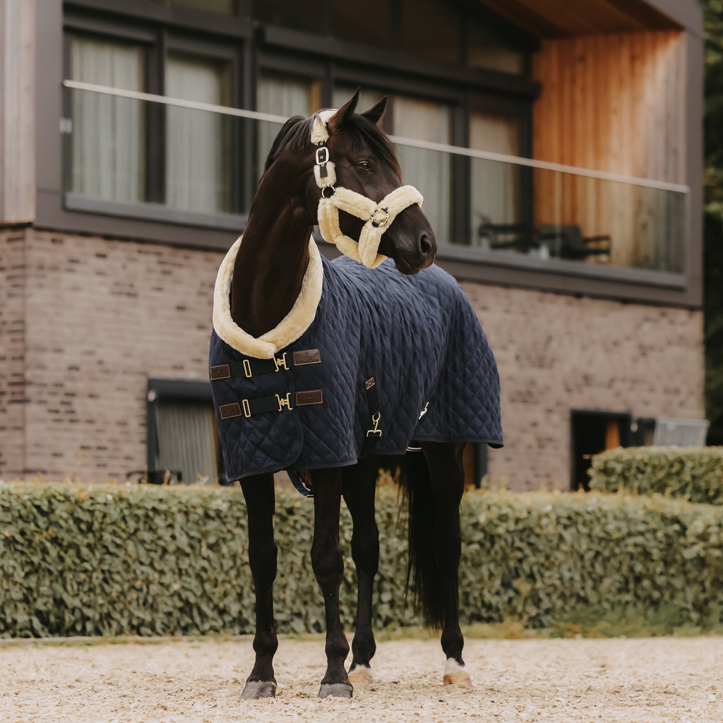 Kentucky Showdeken - 160G