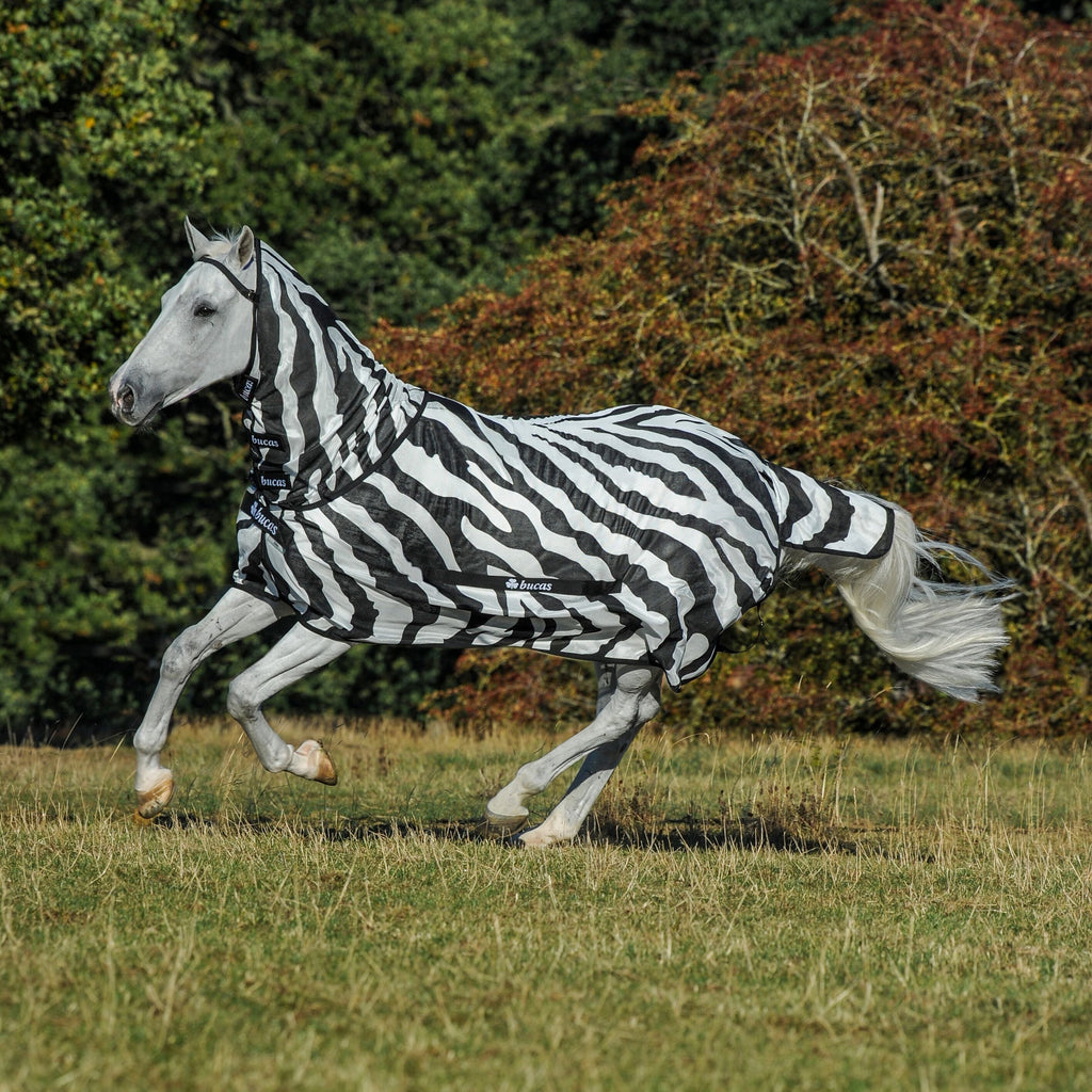Bucas Buzz-Off Zebra Full Neck