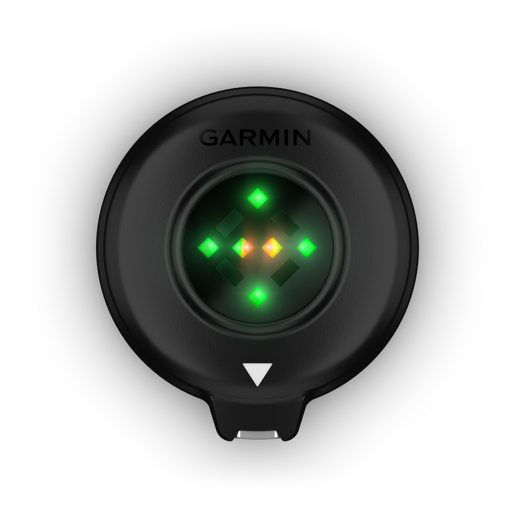 Garmin Blaze™ Equine Wellness System