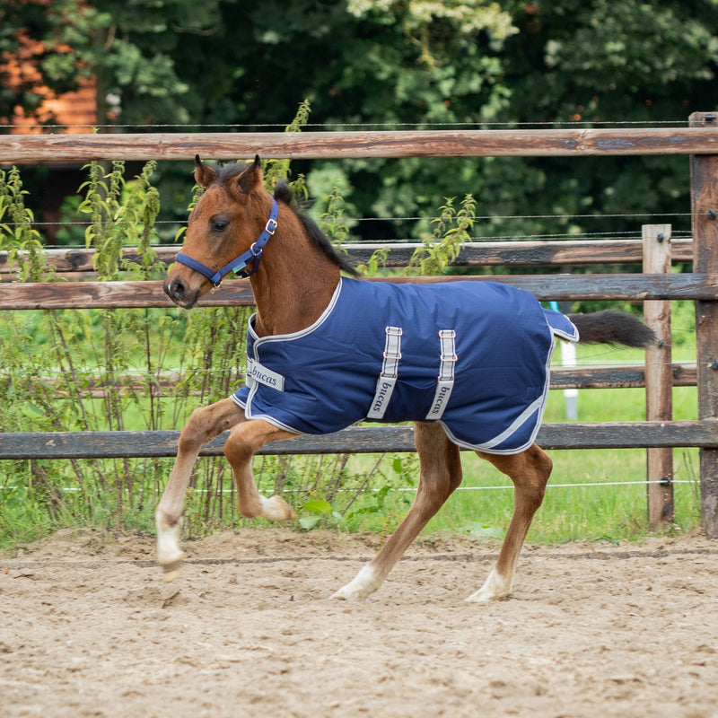 Bucas Foal Turnout - 50 Gram