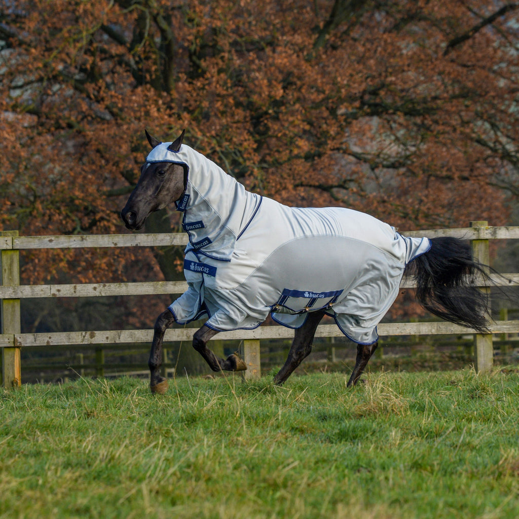 Bucas Sweet-Itch X Light