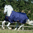 Bucas Therapy Turnout Light