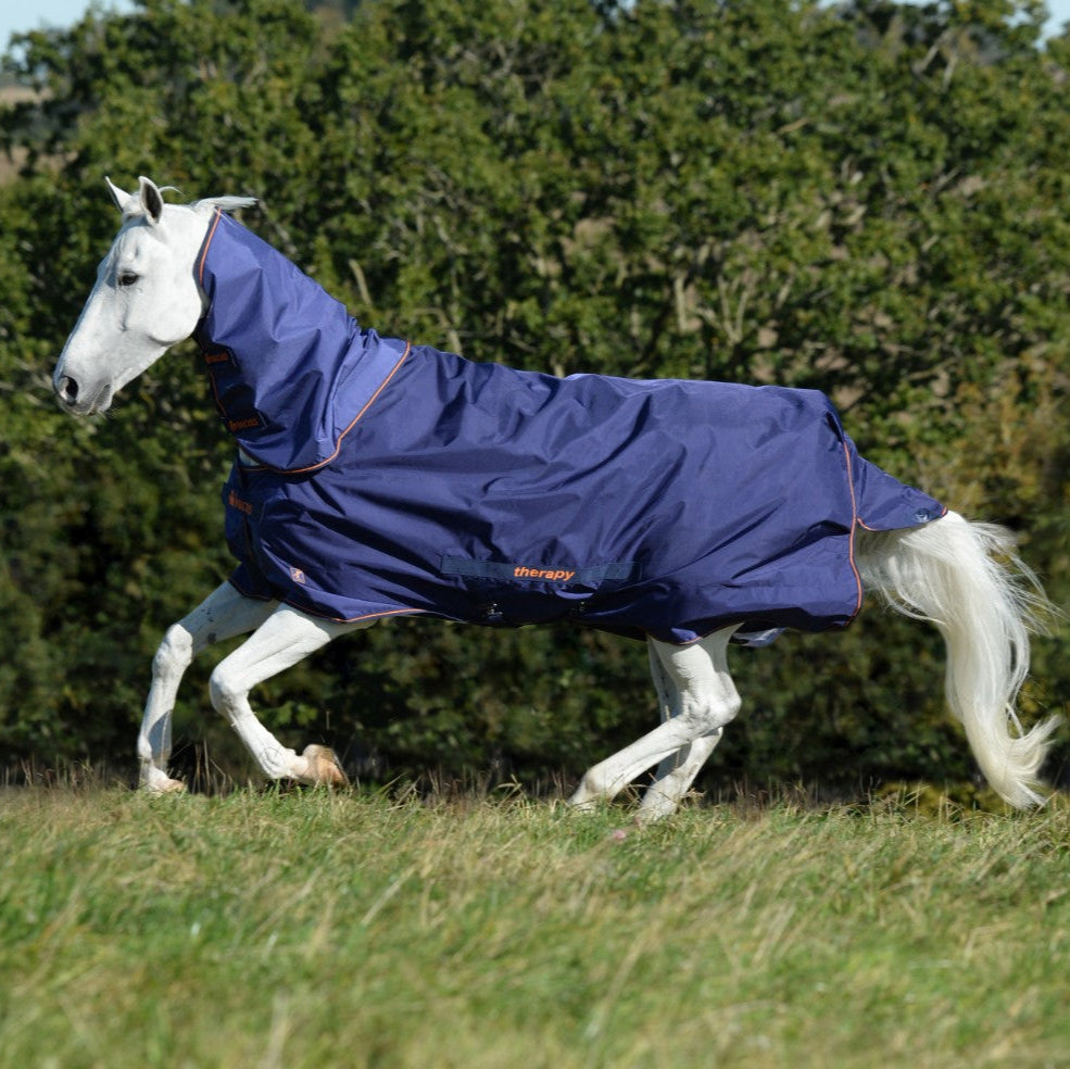 Bucas Therapy Turnout Light