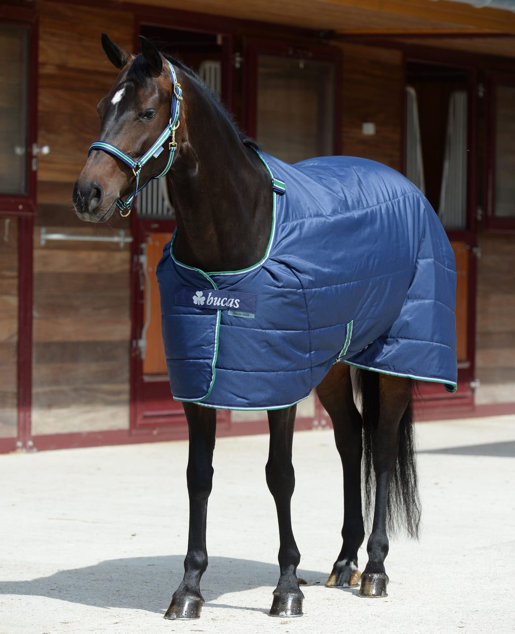 Bucas Steppdecke - 150 Stay Dry