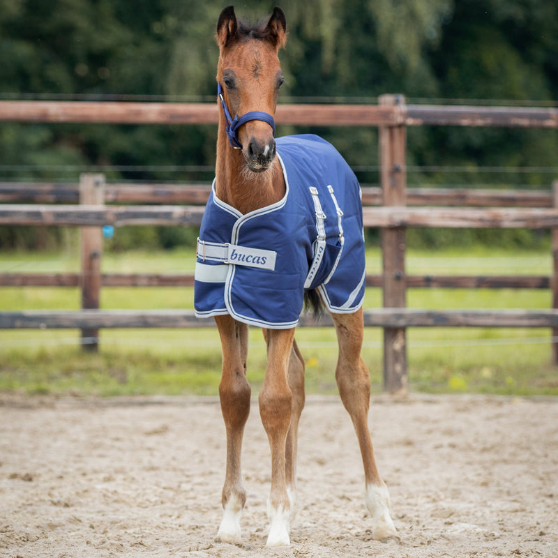 Bucas Foal Turnout - 50 Gram