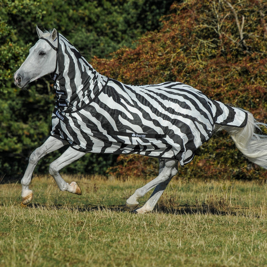 Bucas Buzz Off Zebra Couverture Anti-Mouches + Encolure